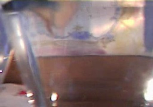 Mon betta splendens MG