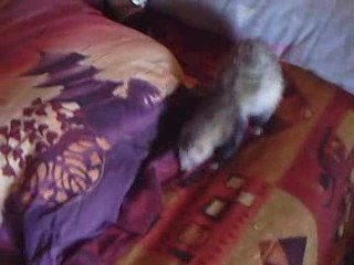 Cana & opi dans tous leurs états xD