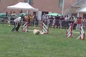 Uk Jumping IPAC 210609