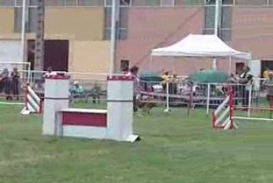 Spok Jumping IPAC 210609