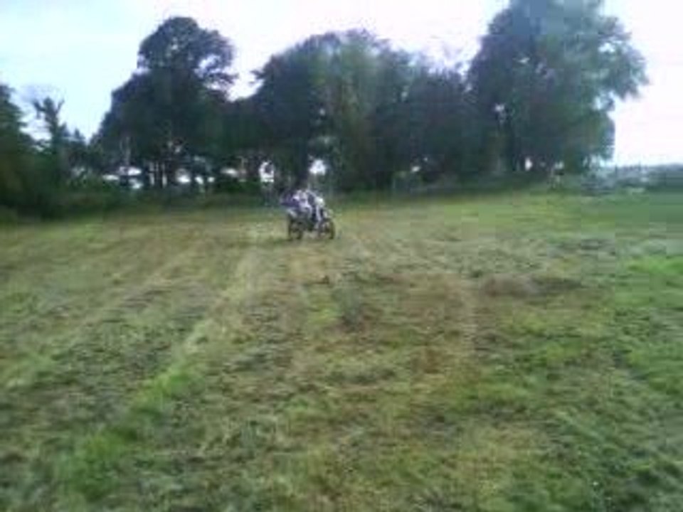 silver en 50 dans son champ