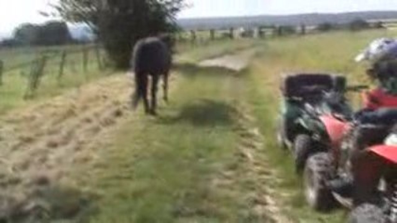 20090621102101