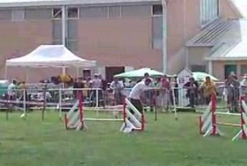 Woofie Jumping IPAC 210609