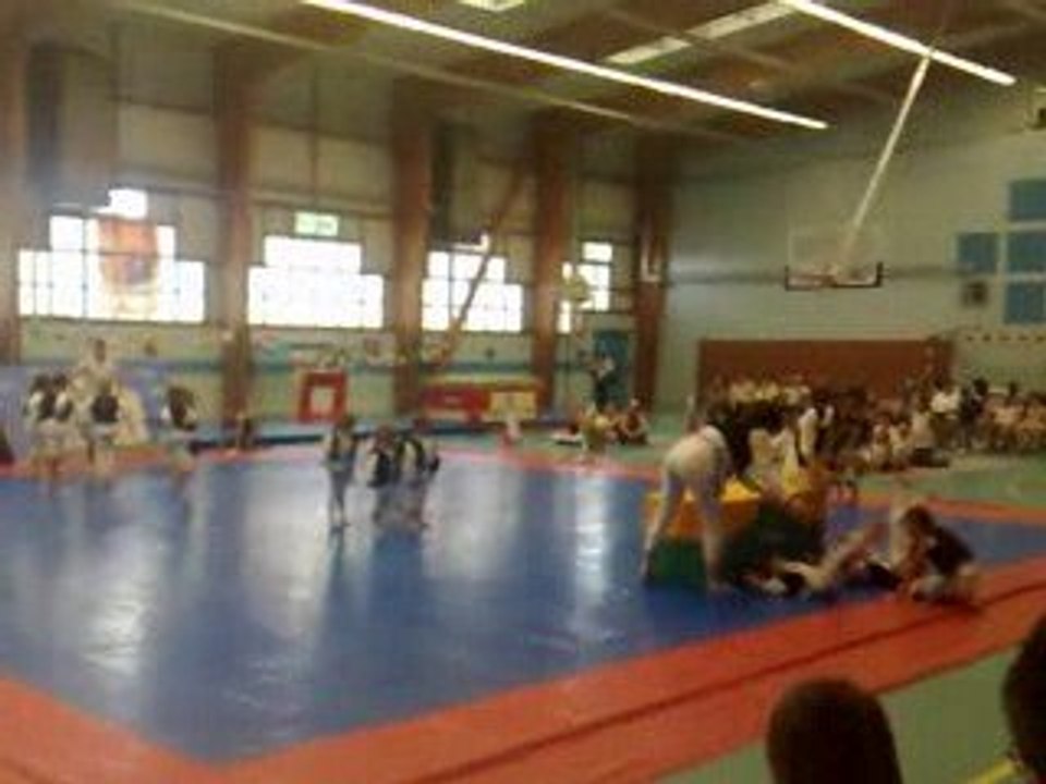 le mee sports gymnastique