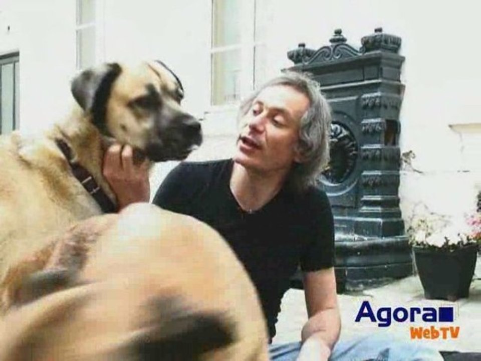 ENTRE CHIENS ET NOUS : COMPRENDRE SON CHIEN