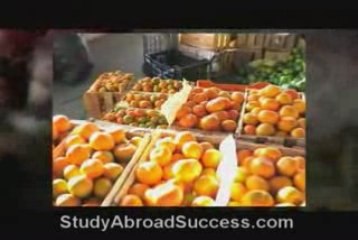 Study Abroad in Ecuador