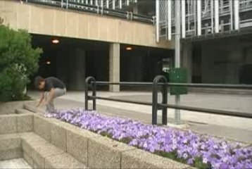 Otra prueba de calidad.