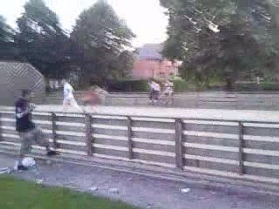 Vid?0339