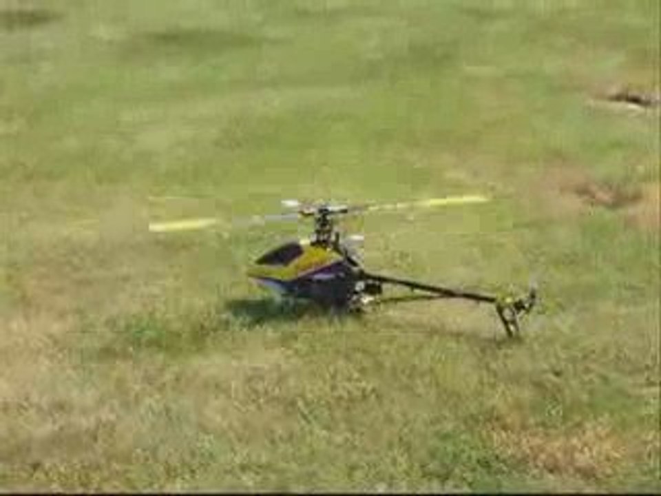 Trex 500 Crash Camano Island 01