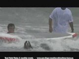 San Diego Dog Surfing - San Diego Events