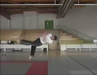 1993- wu shu and others