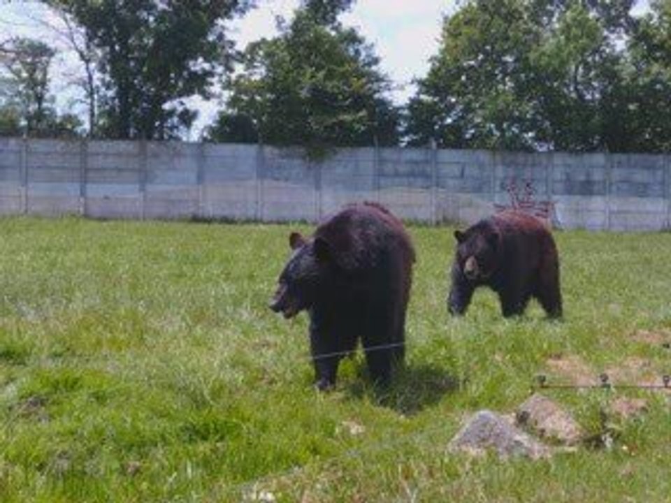 Plan��te Sauvage