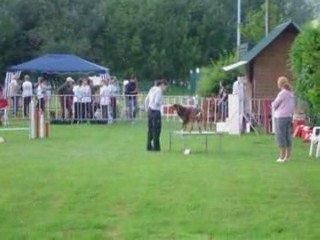 Brisca en agy à Pont Audemer