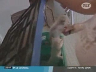 " STOP AUX ABANDONS POUR PARTIR EN VACANCES