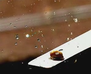 Popcorn en slow motion