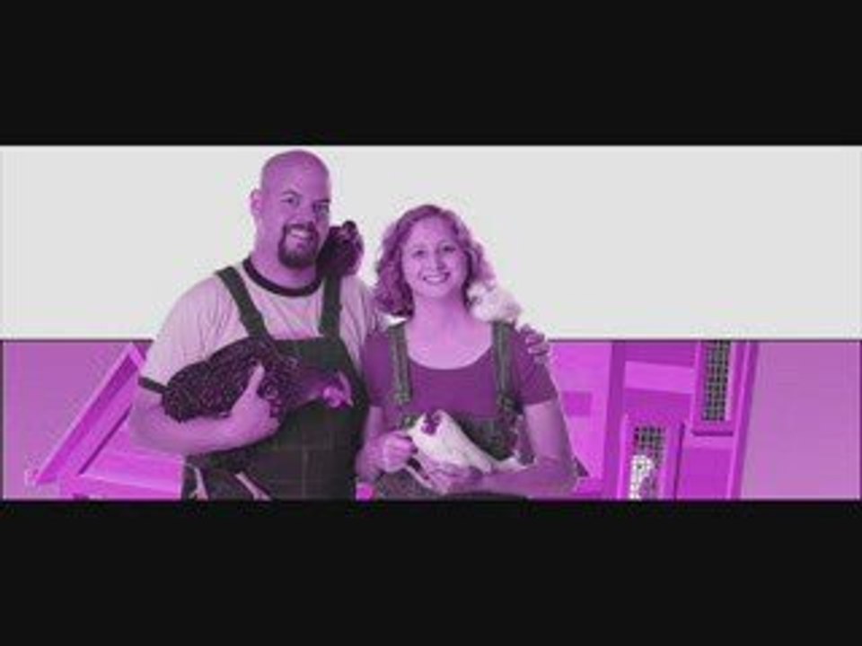 Plans for Chicken Coops – Measurements and Tips