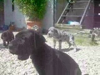 38 jours le 23 06 09 (1)