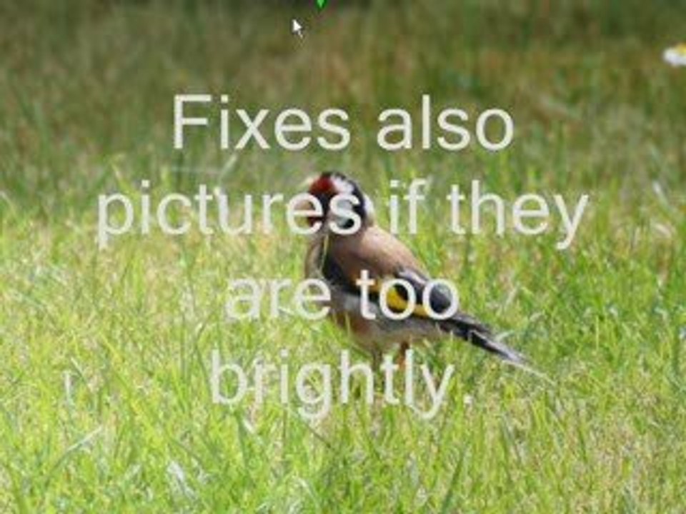 Photomizer - bildbearbeitung der nächsten generation!