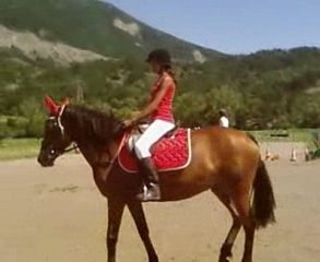 spectacle de dressage d'amanda et alizée fete du club 2009