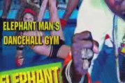 Elephant Man - Father Elephant (Dancehall Gym Video Mix)
