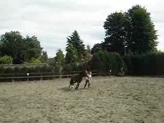 20.06.09 Travail a pied