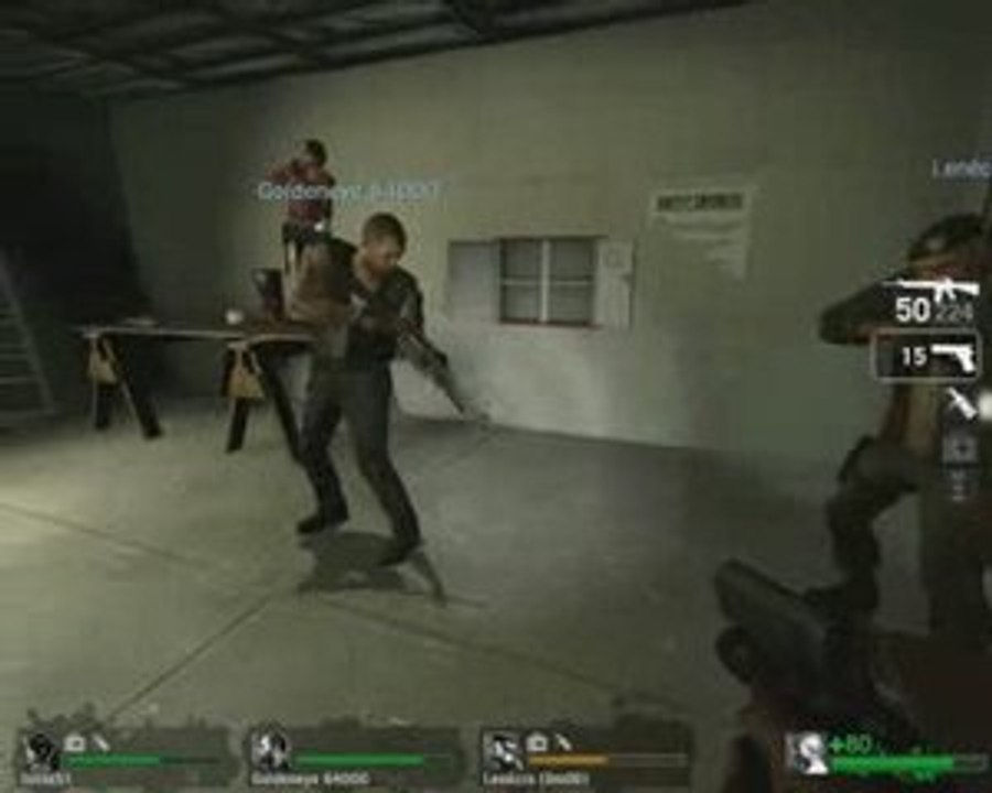 Left 4 Dead Bug
