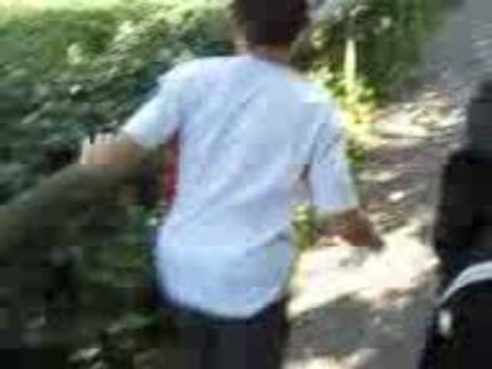 Ptit film0003