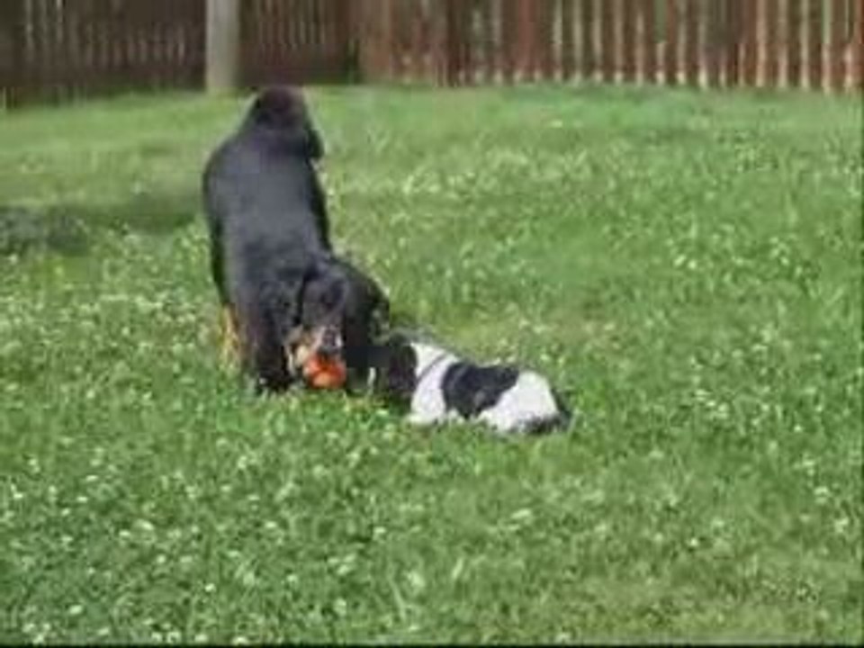 arko et sunny