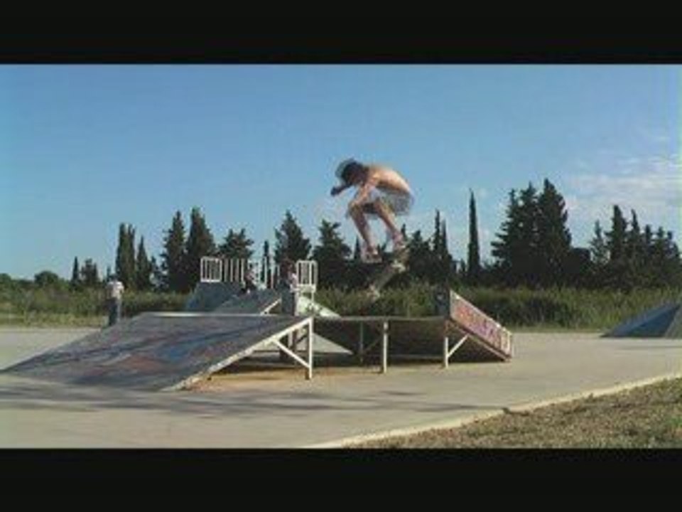 cat-skateboard vlm encore une fois