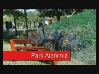 Postoğlu Gözde Kuzuluk Kaplıca Tatil Evleri