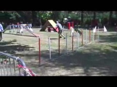 Union Degré Agility Dagneux 21/06/2009