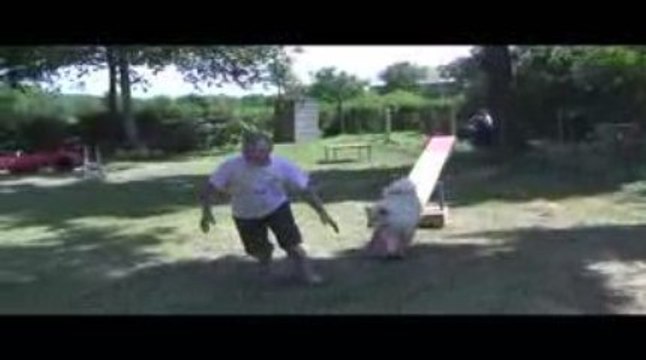 Tweeny Degré Agility Dagneux 21/06/2009