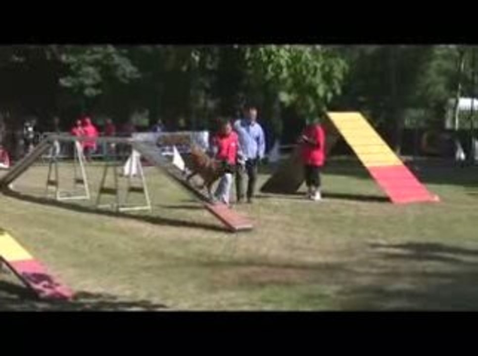 Schneid 1er Degre Agility Dagneux 21/06/2009