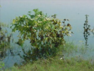 Relaxing, Smooth Guitar Music | Mexican Jazz Cabo