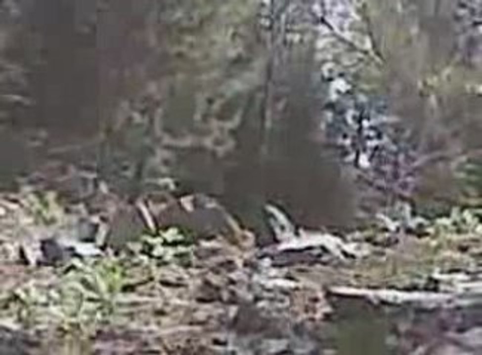Shooting Rocks! sks and 30.06 husky