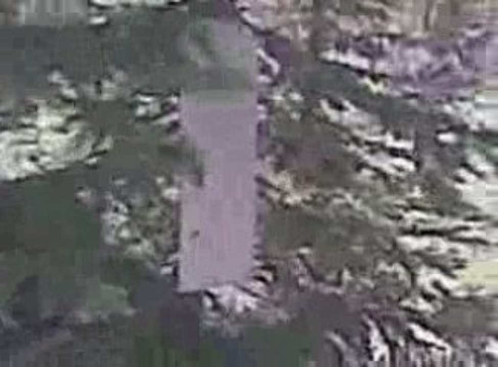 tree carnage
