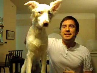 How to smoke an e-cigarette with your dog,ecigarettes4less.